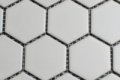 50mm Wit MAT zeshoekige mozaiek tegels
